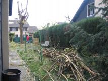 Min_Chambery-004.jpg