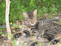 Min_Chat-002.jpg
