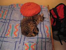 Min_Chat-003.jpg
