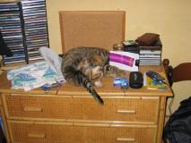 Min_Chat-004.jpg
