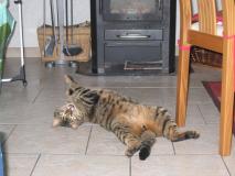 Min_Chat-005.jpg