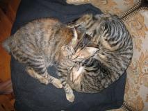 Min_Chat-006.jpg