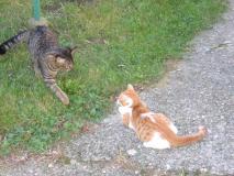 Min_Chat-007.jpg