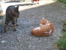 Min_Chat-008.jpg
