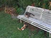 Min_Chat-009.jpg
