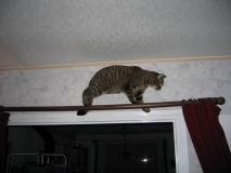 Min_Chat-011.jpg