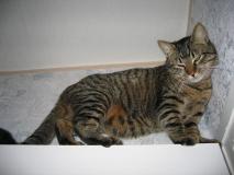 Min_Chat-012.jpg