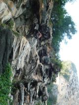 Min_Cobra-Wall-001.jpg