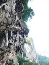 Min_Cobra-Wall-003.jpg
