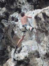 Min_Cobra-Wall-004.jpg