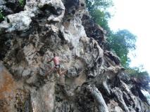 Min_Cobra-Wall-005.jpg