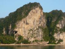 Min_Cobra-Wall-007.jpg