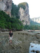 Min_Cobra-Wall-009.jpg
