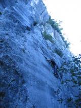 Min_Col-du-chat-001.jpg