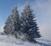 Min_Collet-Allevard-001.jpg