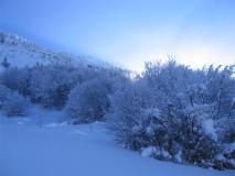 Min_Colombier-003.jpg
