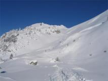 Min_Colombier-005.jpg
