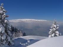Min_Colombier-007.jpg