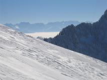 Min_Colombier-009.jpg