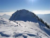 Min_Colombier-024.jpg