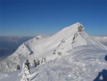 Min_Colombier-028.jpg