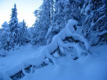 Min_Colombier-Club-Montagne-023.jpg