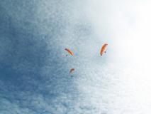 Min_Coupe-Icare-017.jpg
