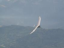 Min_Coupe-Icare-020.jpg