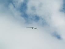 Min_Coupe-Icare-021.jpg