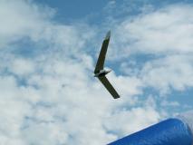 Min_Coupe-Icare-022.jpg