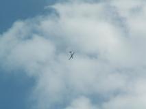 Min_Coupe-Icare-026.jpg