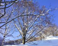 Min_Croix-Nivolet-Portable-004.jpg