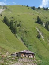 Min_Dent-Ruth-008.jpg