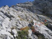 Min_Dents-Lanfon-010.jpg