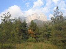 Min_Dents-Lanfon-027.jpg