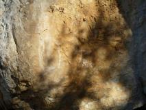 Min_Dolce-Tracas-008.jpg