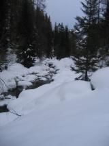 Min_Encrenaz-034.jpg
