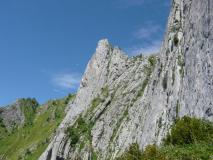 Min_Etoile-Du-Berger-005.jpg