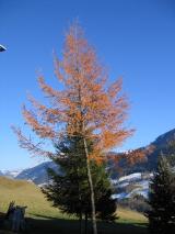 Min_Flumet-005.jpg