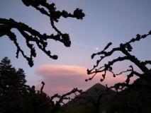 Min_Fruits-De-La-Patience-028.jpg