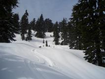 Min_Grouse-Mountain-005.jpg
