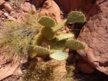 Min_Las-Vegas-020.jpg