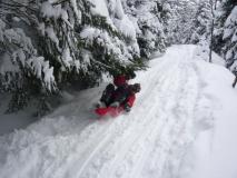 Min_Luge-Cremaillere-008.jpg