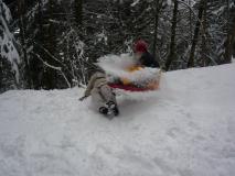 Min_Luge-Cremaillere-011.jpg