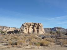 Min_Pacifique-Joshua-Tree-007.jpg