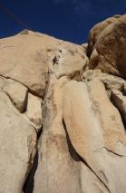 Min_Pacifique-Joshua-Tree-008.jpg
