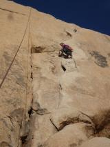 Min_Pacifique-Joshua-Tree-009.jpg