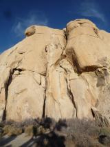Min_Pacifique-Joshua-Tree-010.jpg