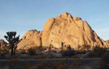 Min_Pacifique-Joshua-Tree-011.jpg