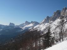Min_Pas-Morta-004.jpg